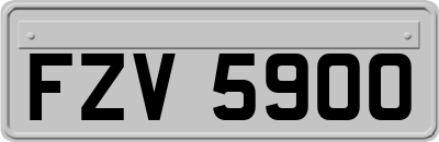 FZV5900