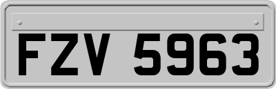 FZV5963