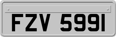 FZV5991