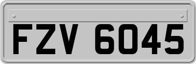 FZV6045