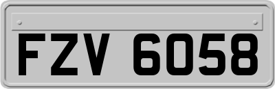 FZV6058