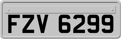 FZV6299