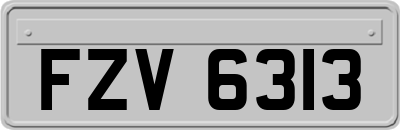 FZV6313