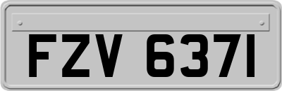 FZV6371