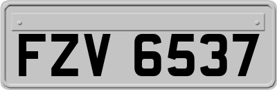 FZV6537