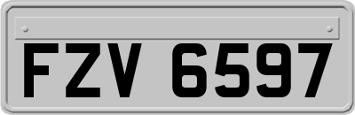 FZV6597