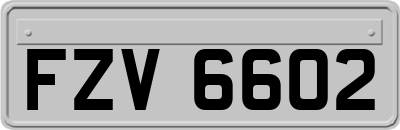 FZV6602