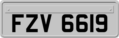 FZV6619