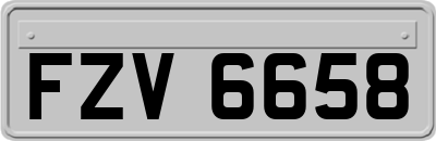 FZV6658