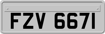 FZV6671