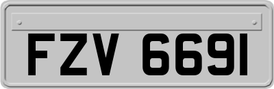 FZV6691