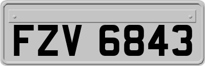 FZV6843