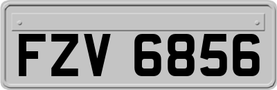 FZV6856