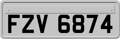 FZV6874