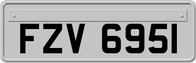 FZV6951