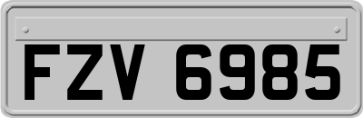 FZV6985