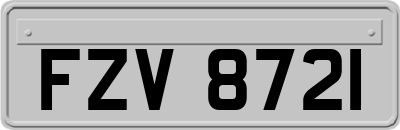 FZV8721