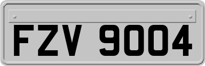 FZV9004