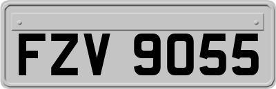 FZV9055