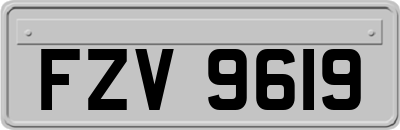 FZV9619