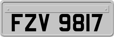 FZV9817
