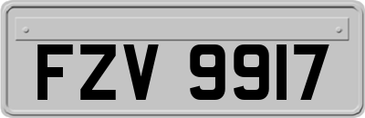 FZV9917