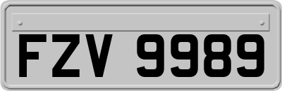 FZV9989