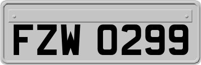 FZW0299