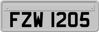 FZW1205
