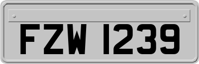 FZW1239