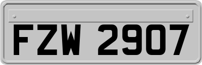 FZW2907