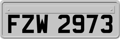 FZW2973