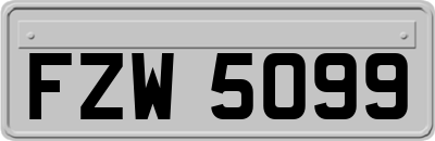 FZW5099