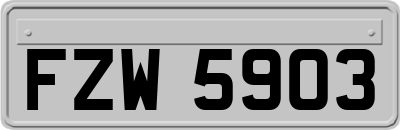FZW5903