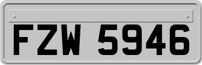 FZW5946