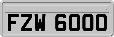 FZW6000