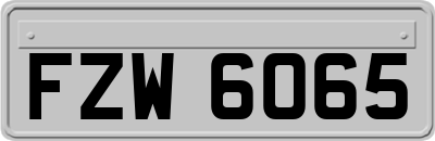 FZW6065
