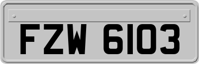 FZW6103
