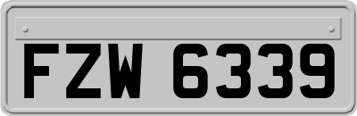FZW6339