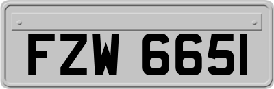 FZW6651