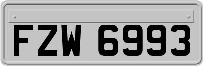 FZW6993