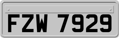 FZW7929