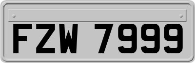 FZW7999