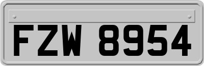 FZW8954