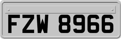 FZW8966