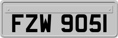 FZW9051