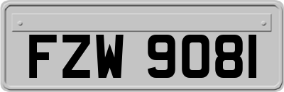 FZW9081