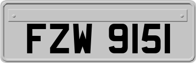 FZW9151