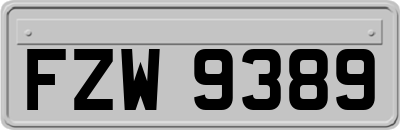 FZW9389