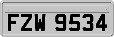 FZW9534